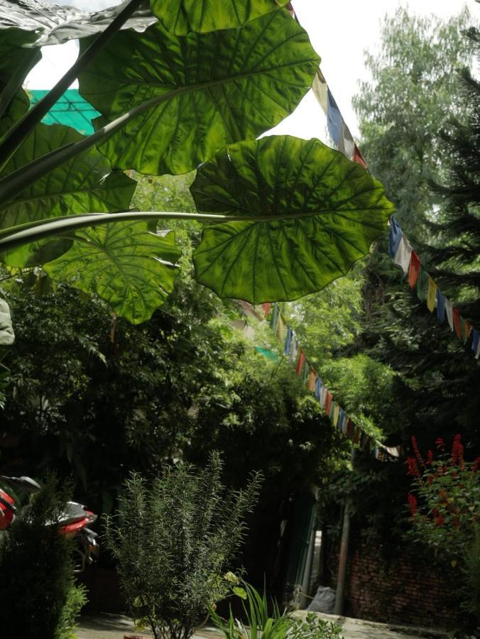 Nirvana Green Peace Home Катманду Екстер'єр фото